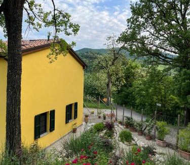 Vezzano sul Crostolo Cama Y Desayuno | Luci nel Bosco B&B