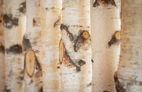 Feistritz ob Bleiburg Apartamento | Departamento exuberante en Sankt Michael ob Bleiburg con sauna