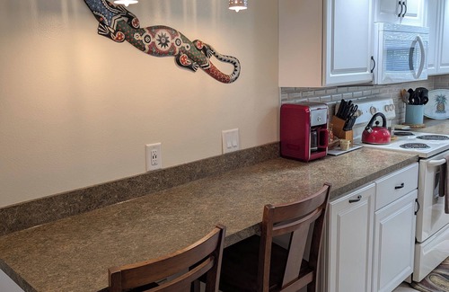 Lutz Condominio | Luxury 1BR King Condo, Screened Lanai, Pond Views - Clothing Optional