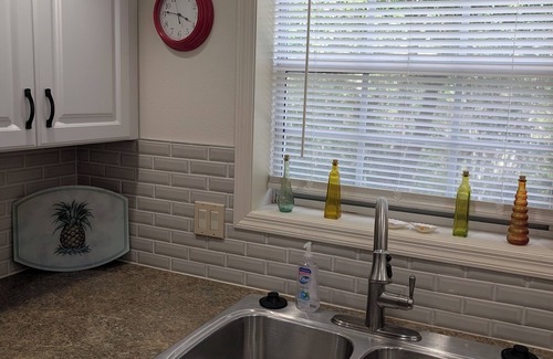 Lutz Condominio | Luxury 1BR King Condo, Screened Lanai, Pond Views - Clothing Optional