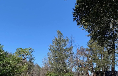 Calistoga Casa | Luxury Contemporary Victorian w/ guest barn, pool and gym