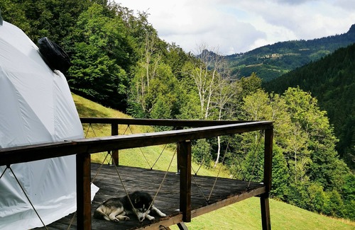 Bucium Alquiler De RV | Luxury Glamping Dome in Apuseni Mountains