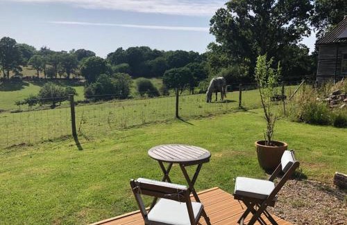 New Forest District Cabina | Luxury Shepherds Hut