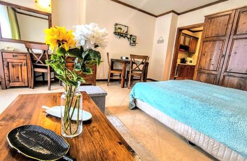 Shiligarnika Apartamento | Luxury SPA Apartments TOP resort Bansko - incl wellness