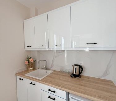 Dafni-Ymittos Casa | M&H and their friends B