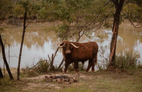 Howes Valley Casa | Maggies Farm Stay by Tiny Away