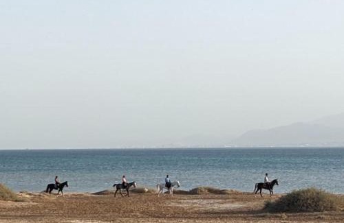 Soma Bay Casa | Magical Cabana Steps From Beach & Pool