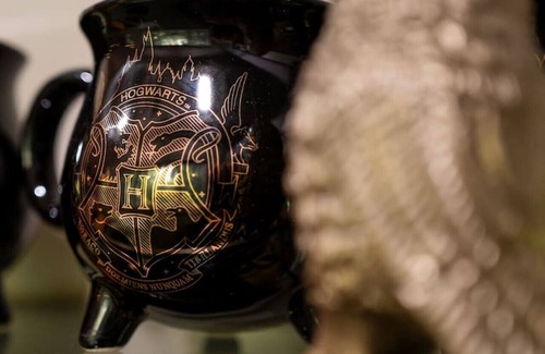 Sylva Casa | Magical Harry Potter Themed, Hot Tub, and Fire Pit!