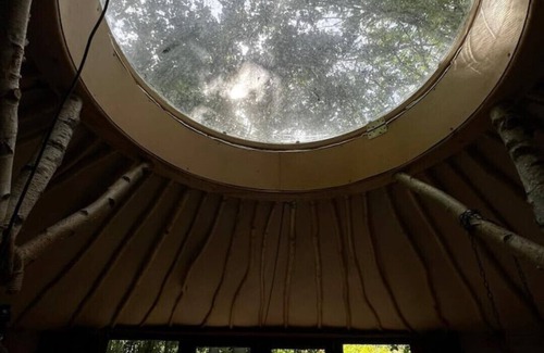 Kleve Cabina | Magical yurt - in the middle of nature