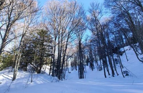 Bielle Apartamento | Mailh- Massibé 1 chambre 5 pers draps serviettes inclus parking près du ski tout confort