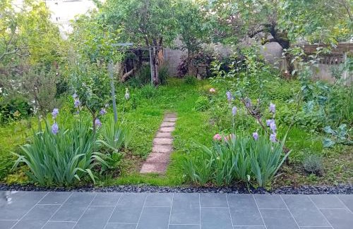 Brive-la-Gaillarde Apartamento | Maison Alfred