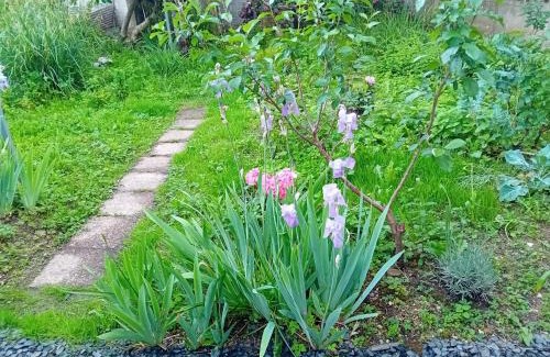 Brive-la-Gaillarde Apartamento | Maison Alfred