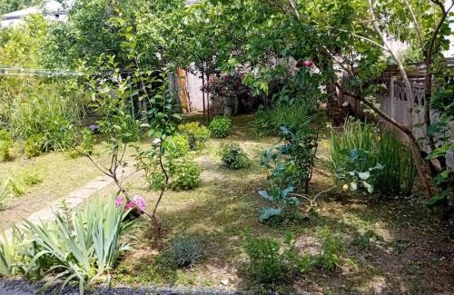 Brive-la-Gaillarde Apartamento | Maison Alfred