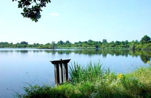 Chateauroux Casa | Maison avec jardin, proche centre-ville et sites touristiques - FR-1-591-59