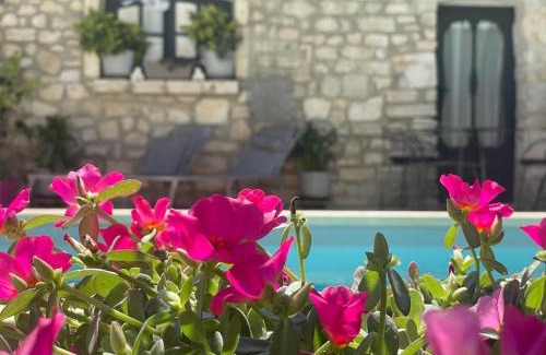 Saint-Paul-Trois-Chateaux Cama Y Desayuno | Maison d'hôtes Payan Champier
