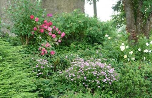 Saint-Remy-de-Sille Casa | Maison de charme en pierres, 5 chambres, jardin clos, terrasse, calme, ping-pong, proche loisirs. - FR-1-410-150