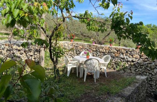 Mons Casa | Maison en pierres rénovée MONS 83