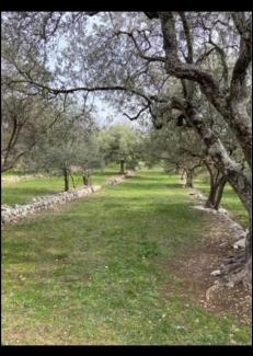 Mons Casa | Maison en pierres rénovée MONS 83