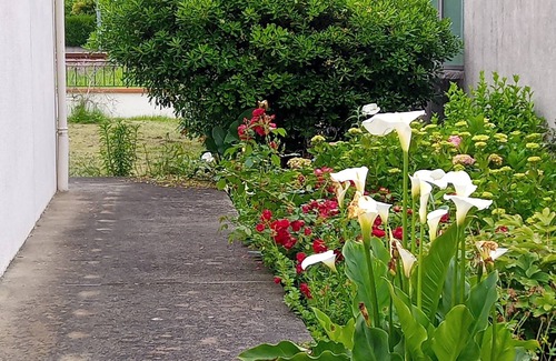 Jurancon Casa | Maison Entre Ville et Campagne, au Pied des Coteaux du Jurançon