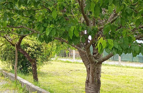 Jurancon Casa | Maison Entre Ville et Campagne, au Pied des Coteaux du Jurançon