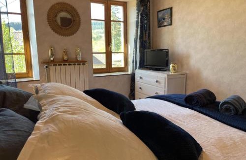 Laprugne Casa | Maison familiale avec jardin et animaux admis - FR-1-489-448