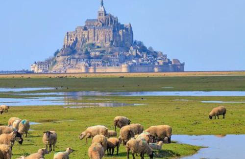 Marcilly Casa | Maison 70m2, 20min du Mont-St-Michel wifi