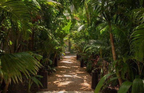 Flic-en-Flac Casa | Maison Tropical