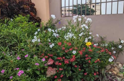Kwabenyan Casa | majestic cottage