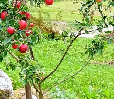 Ovre Eidfjord Casa | Mallabu