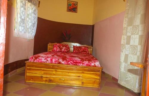 Assoli Hotel | MANGALA Hotel BIO