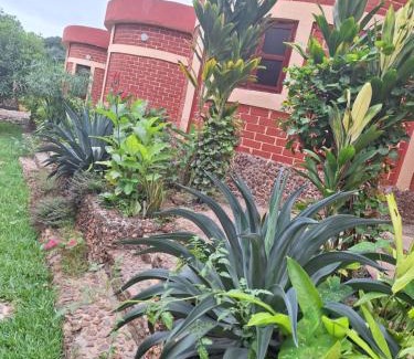 Assoli Hotel | MANGALA Hotel BIO