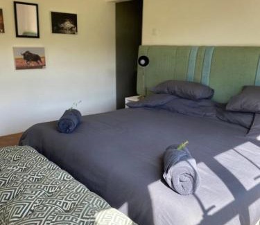 Lusaka Casa | Mango House