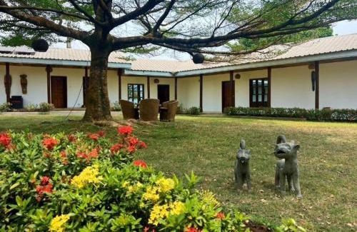 Limbe Cabina | Manjuwele Lodge