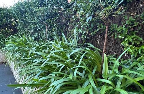 Cambre Apartamento | Mar y Playa con Jardín