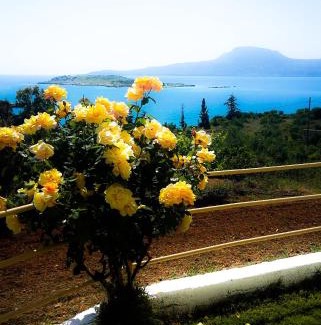 Marathi Apartamento | Marathi Panorama Rooms