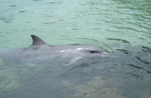 Nambucca Heads Apartamento | Marcel Towers Holiday Apartments