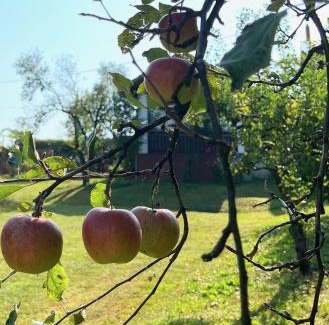 Rogaska Slatina Casa | Maria's Orchard Cottage - Nature Retreat in Slovenia