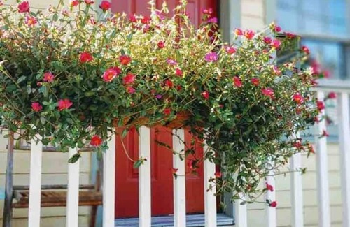 Historic District - North Cabaña | Mariner’s Cottage - 2BD, 1 BA - in Historic District w Private Parking