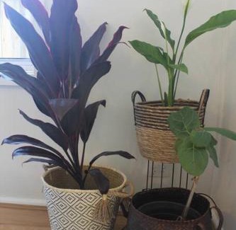 Wonthaggi Casa | Marjalis Cottage, your perfect country getaway!