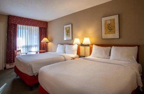 Jasper Cabina | Marmot Lodge Jasper