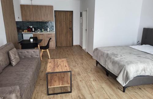 Ohrid Apartamento | Martinas Lake Front Apartment
