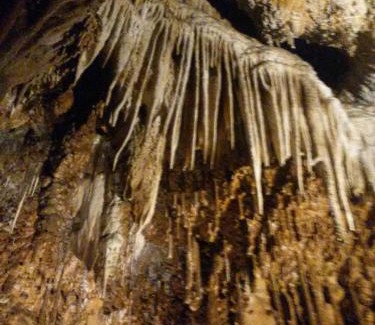 Martonyi Casa | Martonyi Erdőszéli Vendégház