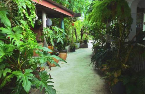 Ba Apartamento | Marys Cottage