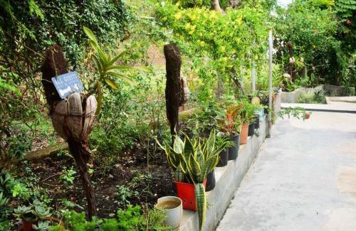 Ba Apartamento | Marys Cottage