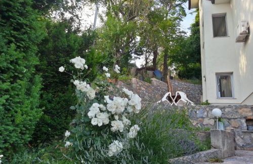 Varosh Apartamento | Maslov Apartments