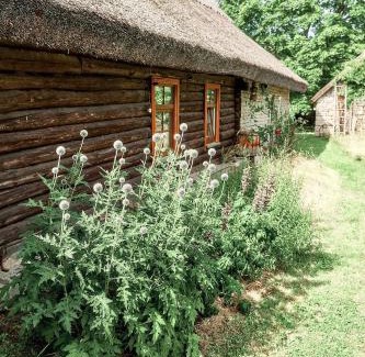 Igakula Casa | Matsi cottage