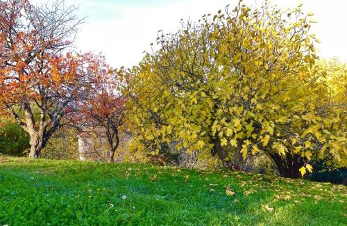 Grizzana Morandi Villa | Mazzetti Country House-Vita in campagna con giardino