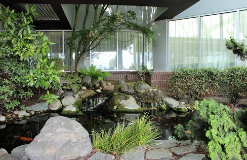 Arlington Apartamento | Medallion Inn & Suites