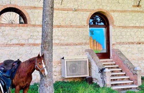 Montagnana Casa | Medieval Relais - Top location