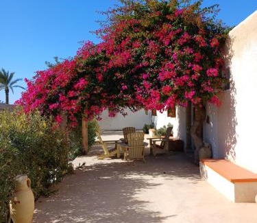 Aghir Casa | Menzel Sonia Caja